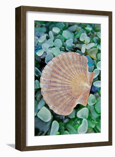 Crystal Cove #25-Alan Blaustein-Framed Photographic Print