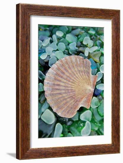 Crystal Cove #25-Alan Blaustein-Framed Photographic Print