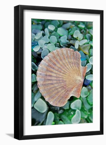 Crystal Cove #25-Alan Blaustein-Framed Photographic Print