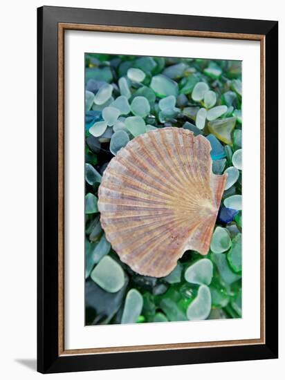 Crystal Cove #25-Alan Blaustein-Framed Photographic Print