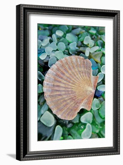 Crystal Cove #25-Alan Blaustein-Framed Photographic Print