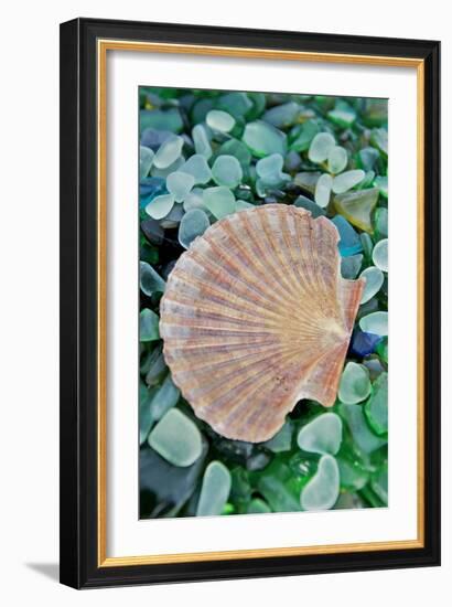 Crystal Cove #25-Alan Blaustein-Framed Photographic Print