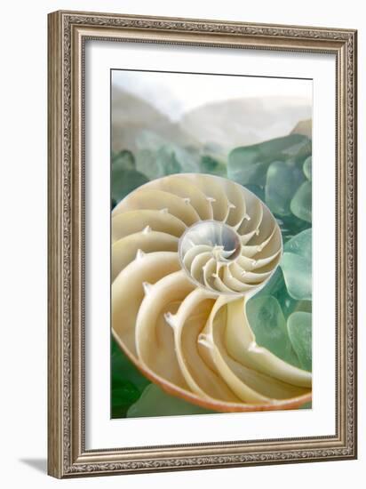 Crystal Cove #27-Alan Blaustein-Framed Photographic Print