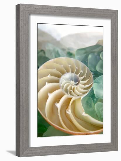 Crystal Cove #27-Alan Blaustein-Framed Photographic Print