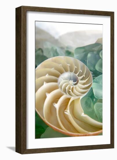 Crystal Cove #27-Alan Blaustein-Framed Photographic Print