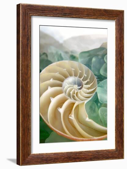 Crystal Cove #27-Alan Blaustein-Framed Photographic Print