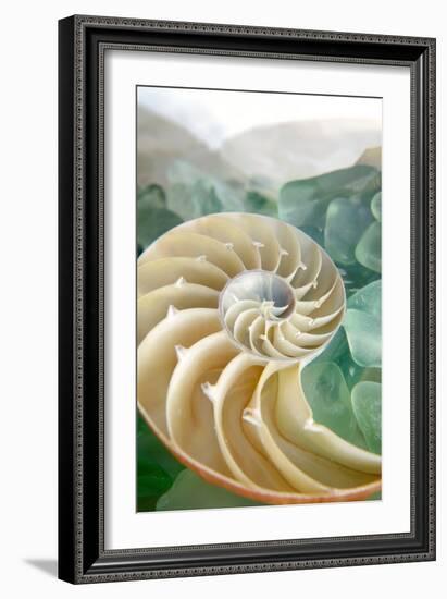 Crystal Cove #27-Alan Blaustein-Framed Photographic Print