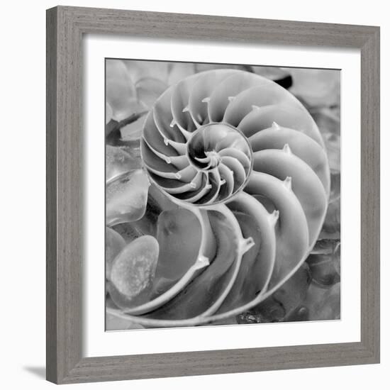 Crystal Cove #44-Alan Blaustein-Framed Photographic Print