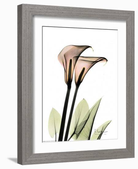 Crystal Flowers, Lily Pair-Albert Koetsier-Framed Art Print