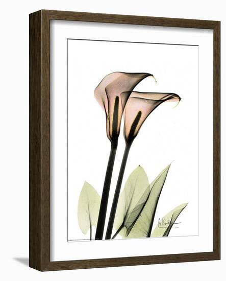 Crystal Flowers, Lily Pair-Albert Koetsier-Framed Art Print