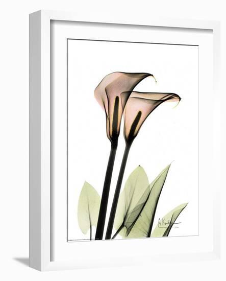 Crystal Flowers, Lily Pair-Albert Koetsier-Framed Art Print