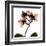 Crystal Flowers X-ray, Orchid-Albert Koetsier-Framed Art Print