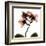 Crystal Flowers X-ray, Orchid-Albert Koetsier-Framed Art Print