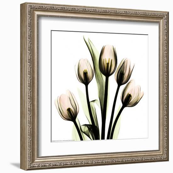 Crystal Flowers X-ray, Tulip Bouquet-Albert Koetsier-Framed Art Print