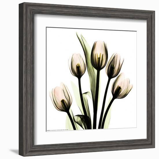 Crystal Flowers X-ray, Tulip Bouquet-Albert Koetsier-Framed Art Print