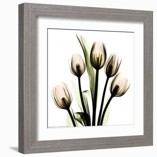 Crystal Flowers X-ray, Tulip Bouquet-Albert Koetsier-Framed Art Print