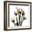 Crystal Flowers X-ray, Tulip Bouquet-Albert Koetsier-Framed Art Print