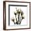 Crystal Flowers X-ray, Tulip Bouquet-Albert Koetsier-Framed Art Print