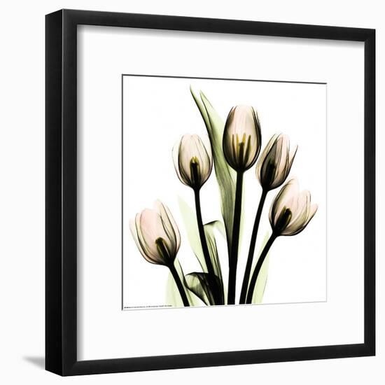 Crystal Flowers X-ray, Tulip Bouquet-Albert Koetsier-Framed Art Print