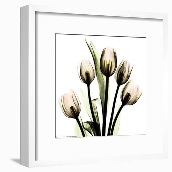 Crystal Flowers X-ray, Tulip Bouquet-Albert Koetsier-Framed Art Print