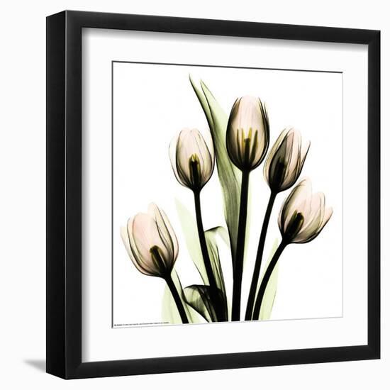 Crystal Flowers X-ray, Tulip Bouquet-Albert Koetsier-Framed Art Print