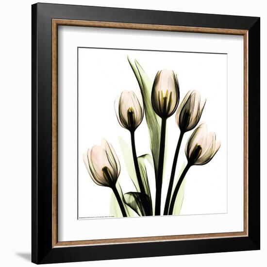 Crystal Flowers X-ray, Tulip Bouquet-Albert Koetsier-Framed Art Print