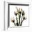 Crystal Flowers X-ray, Tulip Bouquet-Albert Koetsier-Framed Art Print