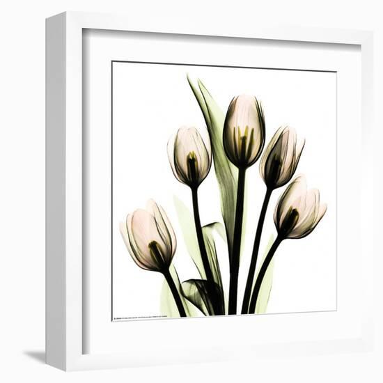 Crystal Flowers X-ray, Tulip Bouquet-Albert Koetsier-Framed Art Print