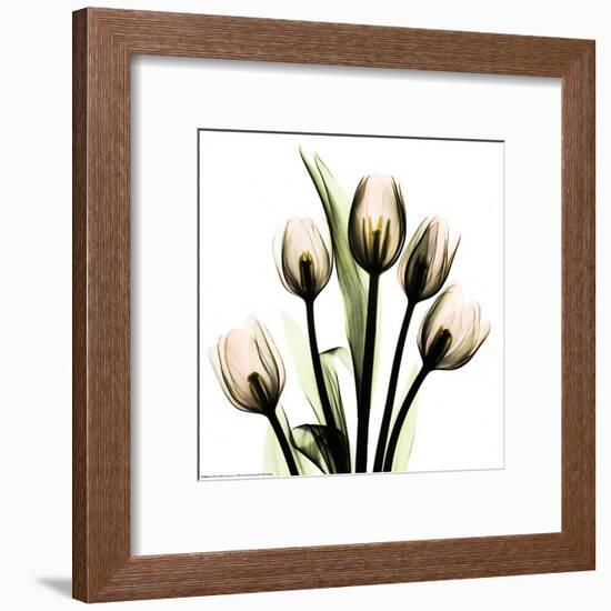 Crystal Flowers X-ray, Tulip Bouquet-Albert Koetsier-Framed Art Print