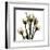 Crystal Flowers X-ray, Tulip Bouquet-Albert Koetsier-Framed Art Print