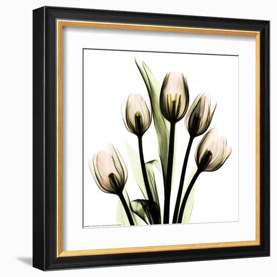 Crystal Flowers X-ray, Tulip Bouquet-Albert Koetsier-Framed Art Print