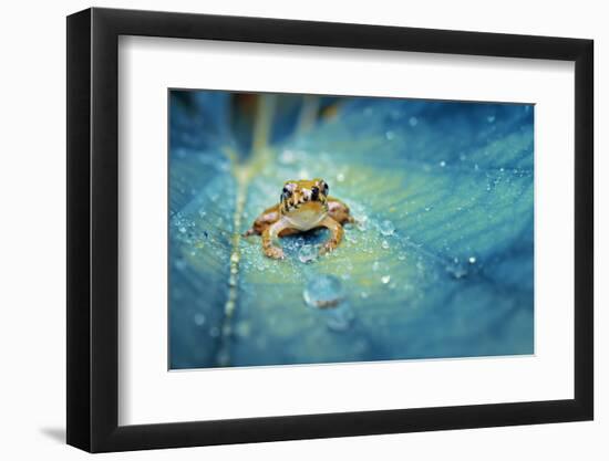 Crystal Guard-Robby Fakhriannur-Framed Photographic Print