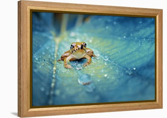 Crystal Guard-Robby Fakhriannur-Framed Premier Image Canvas