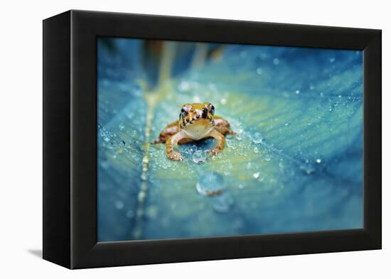 Crystal Guard-Robby Fakhriannur-Framed Premier Image Canvas