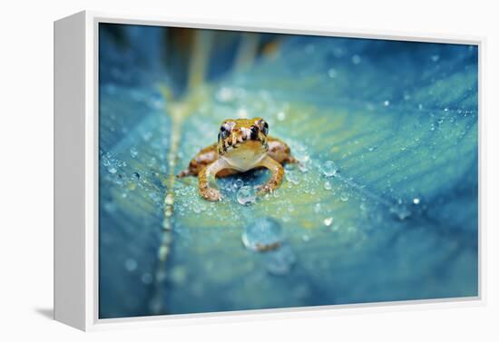 Crystal Guard-Robby Fakhriannur-Framed Premier Image Canvas