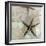 Crystal Harbor #13-Alan Blaustein-Framed Photographic Print