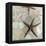 Crystal Harbor #13-Alan Blaustein-Framed Stretched Canvas