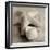 Crystal Harbor #17-Alan Blaustein-Framed Photographic Print