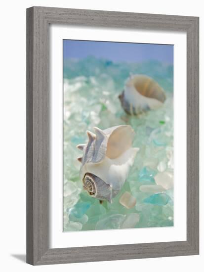 Crystal Harbor #1-Alan Blaustein-Framed Photographic Print