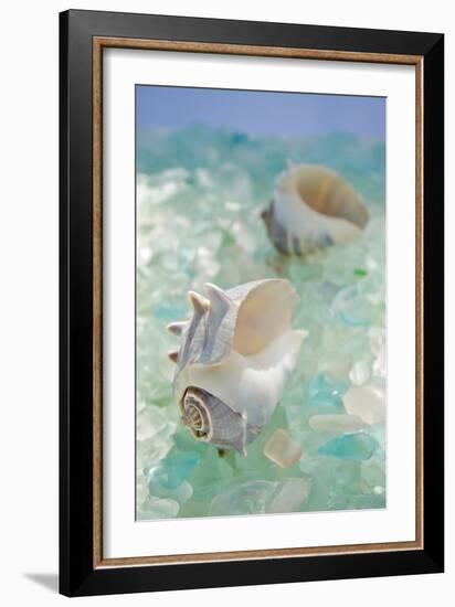 Crystal Harbor #1-Alan Blaustein-Framed Photographic Print