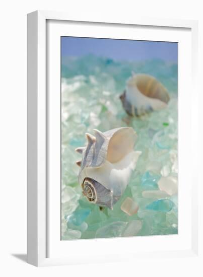 Crystal Harbor #1-Alan Blaustein-Framed Photographic Print