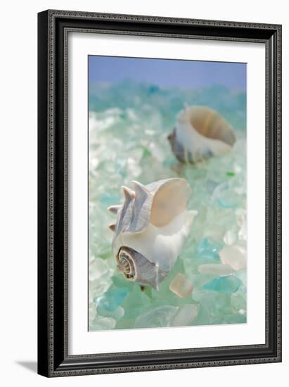 Crystal Harbor #1-Alan Blaustein-Framed Photographic Print