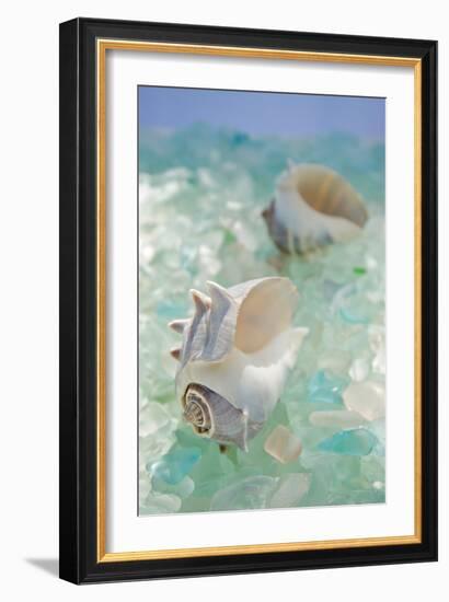 Crystal Harbor #1-Alan Blaustein-Framed Photographic Print