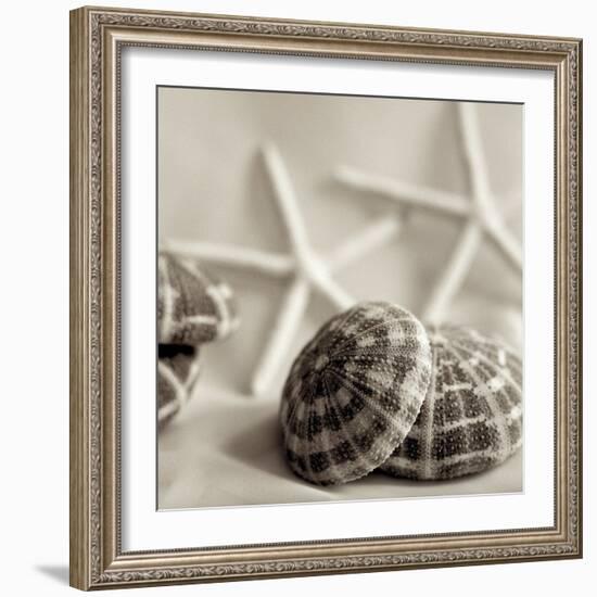 Crystal Harbor #20-Alan Blaustein-Framed Photographic Print