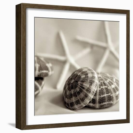 Crystal Harbor #20-Alan Blaustein-Framed Photographic Print