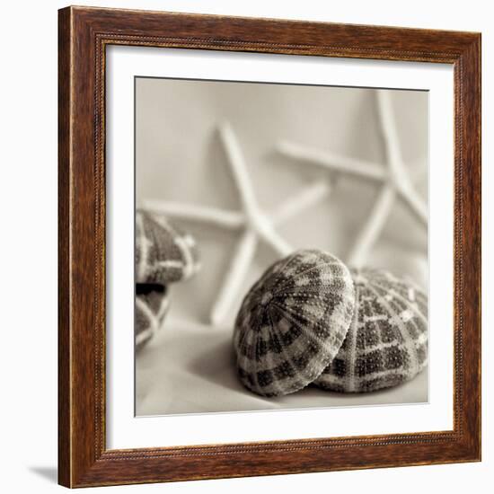 Crystal Harbor #20-Alan Blaustein-Framed Photographic Print