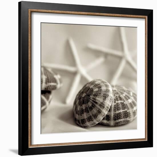 Crystal Harbor #20-Alan Blaustein-Framed Photographic Print