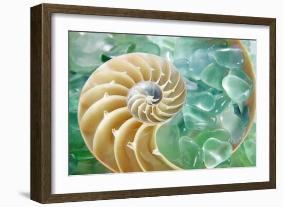 Crystal Harbor #26-Alan Blaustein-Framed Photographic Print