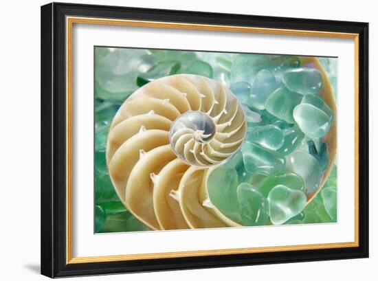 Crystal Harbor #26-Alan Blaustein-Framed Photographic Print