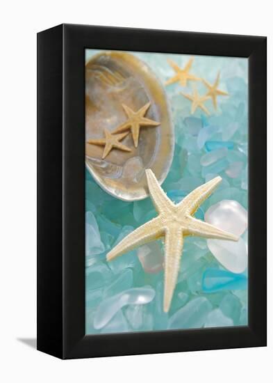 Crystal Harbor #2-Alan Blaustein-Framed Premier Image Canvas